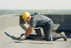 Best Skylight Installation and Repair  in Buford, GA